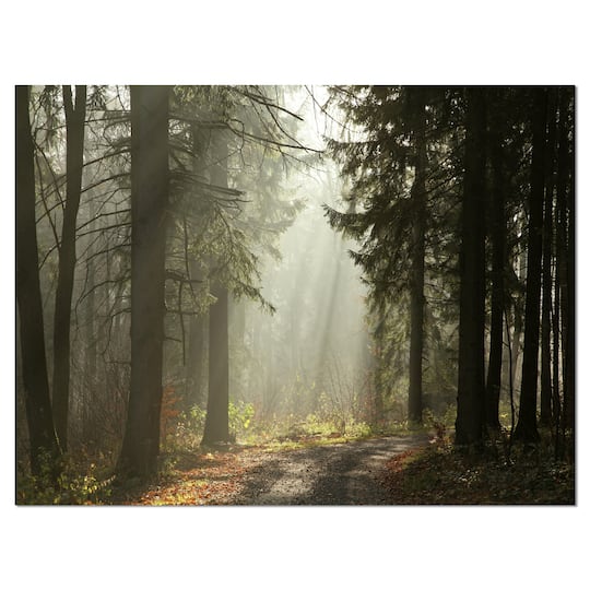 Designart - Dark Green Forest with Sun Rays